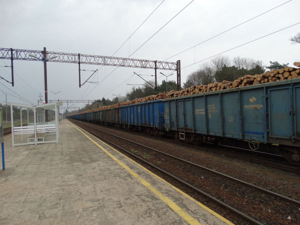 pl-pkpcargo-timber-jastrowie-050417-pic2-full.jpg